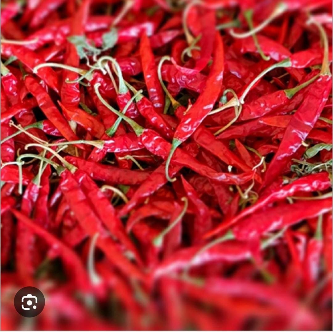 Red S17 chillies with stems
