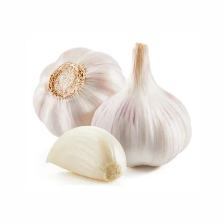 Fresh Garlic