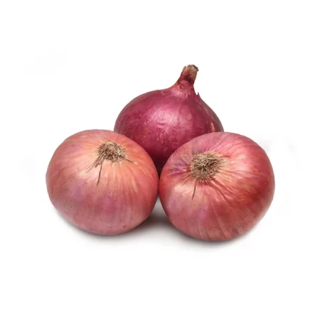Fresh Red Onion