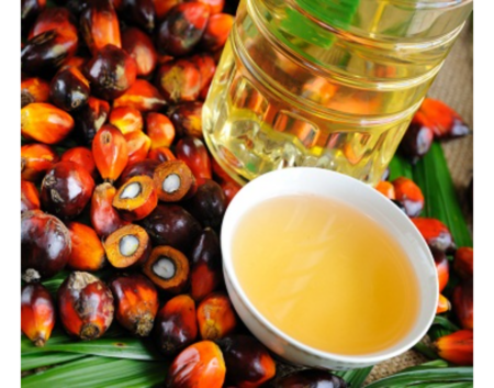 Palm Oil
